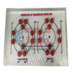 Formation of Magnesium Oxide Ion Model STEM Science Lab Demonstration Model